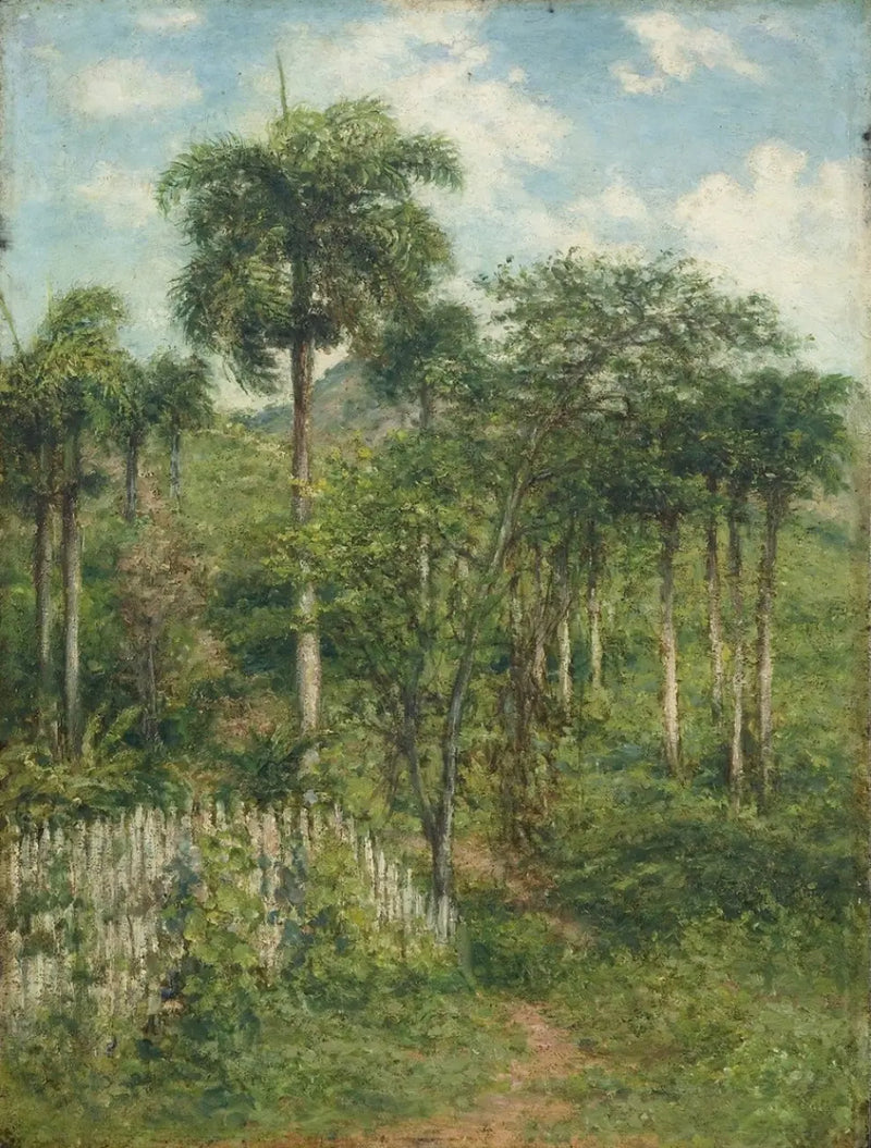 Paisaje con Palmeras Reales